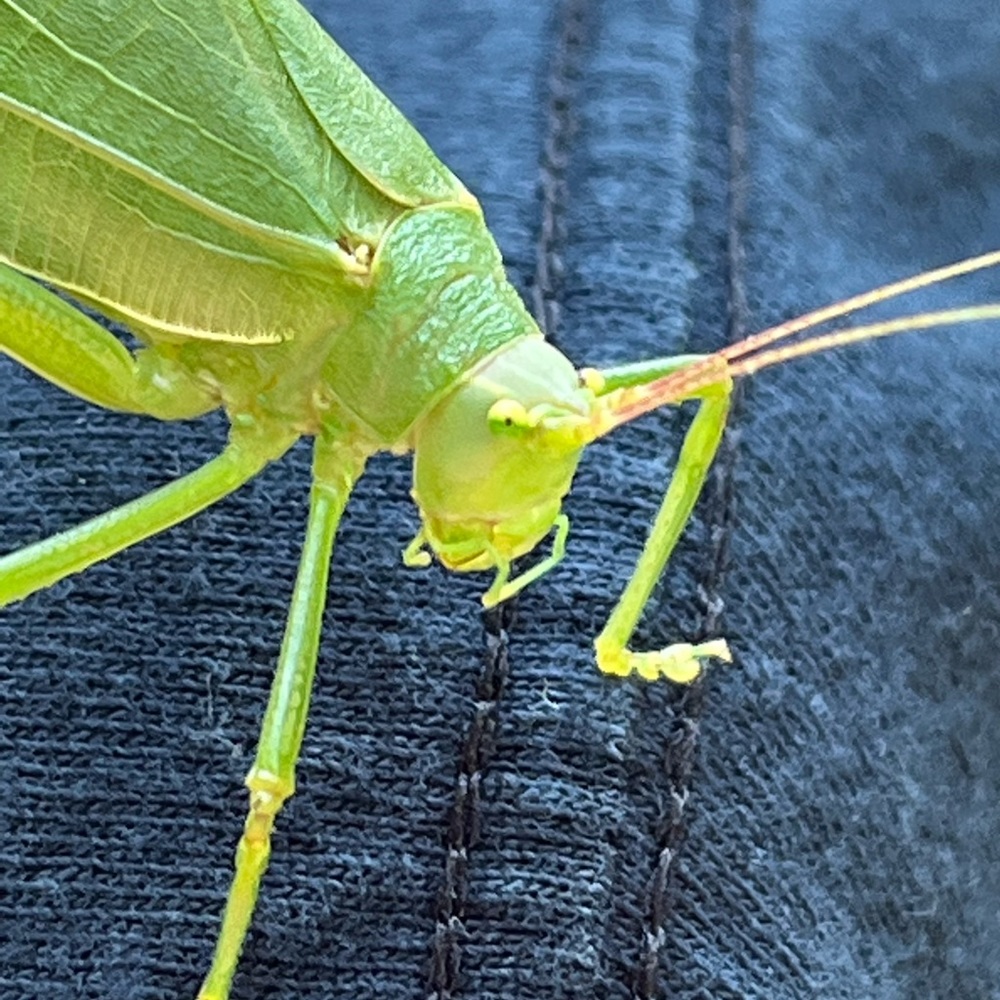 Meet your Posher, Jh